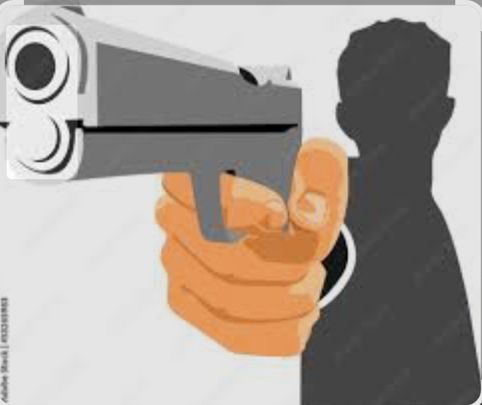 पटाखे से गाय हुई परेशान, वकील ने मना किया तो मार दी गोली